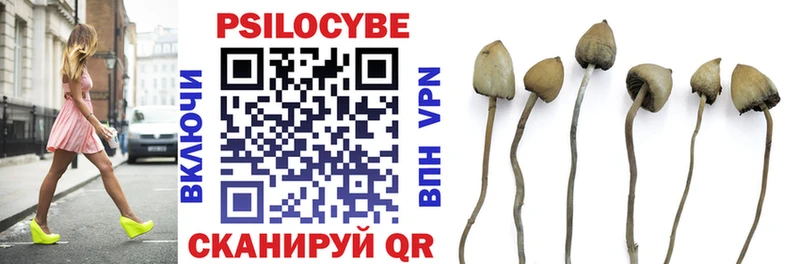 купить  цена  Пласт  blacksprut как зайти  Псилоцибиновые грибы мицелий 